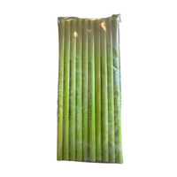 Carbon Tech Slime PDR Glue